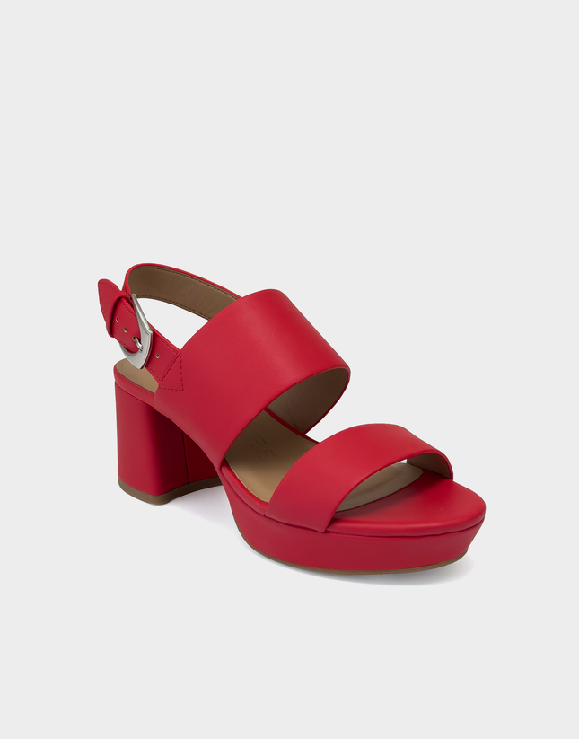 Camilia in Rich Red